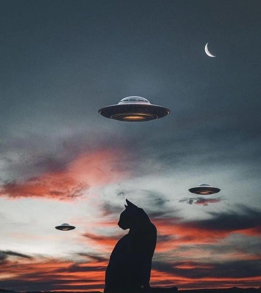 Sadie Brewer OnlyFans header