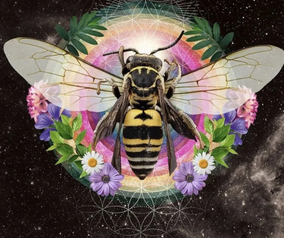 Bumblebee OnlyFans header