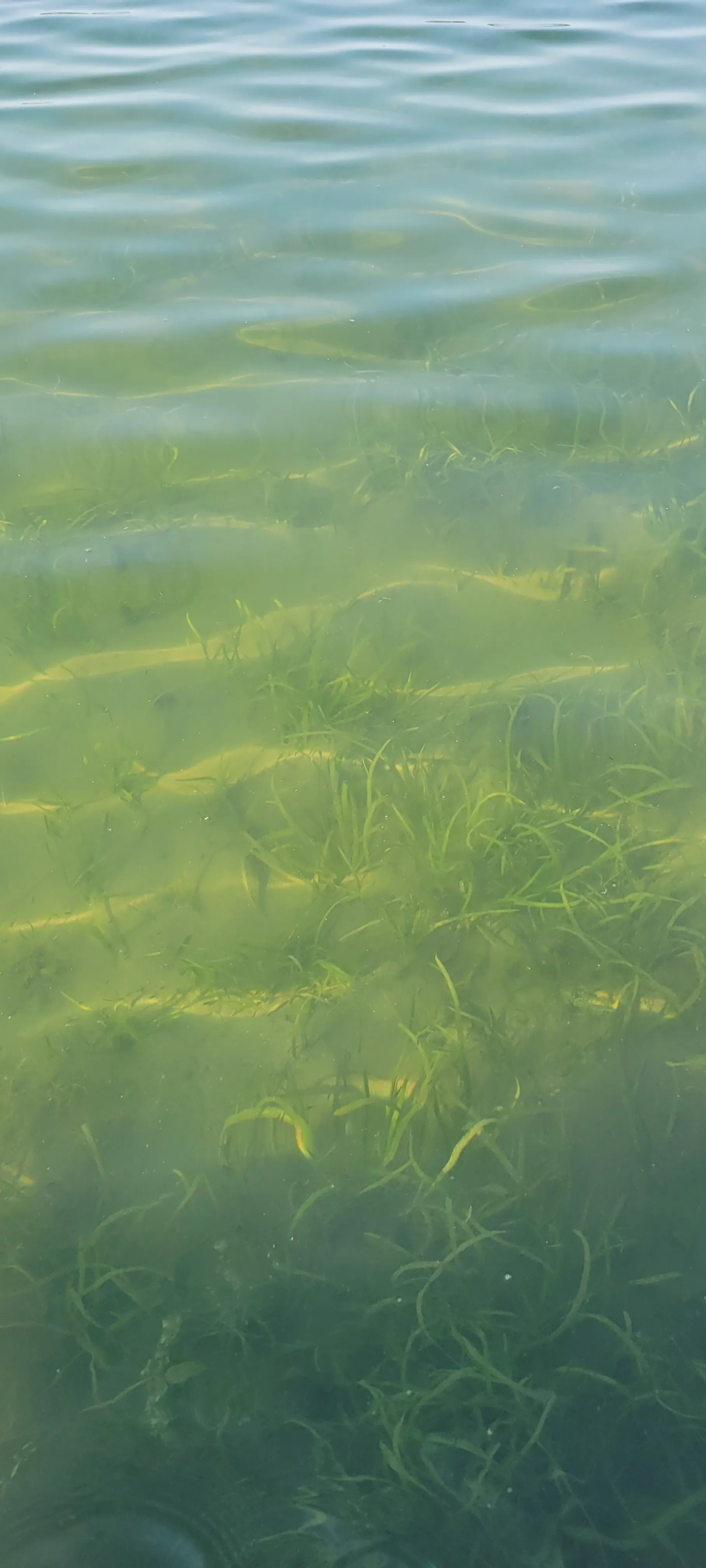 Bummer Summer OnlyFans header