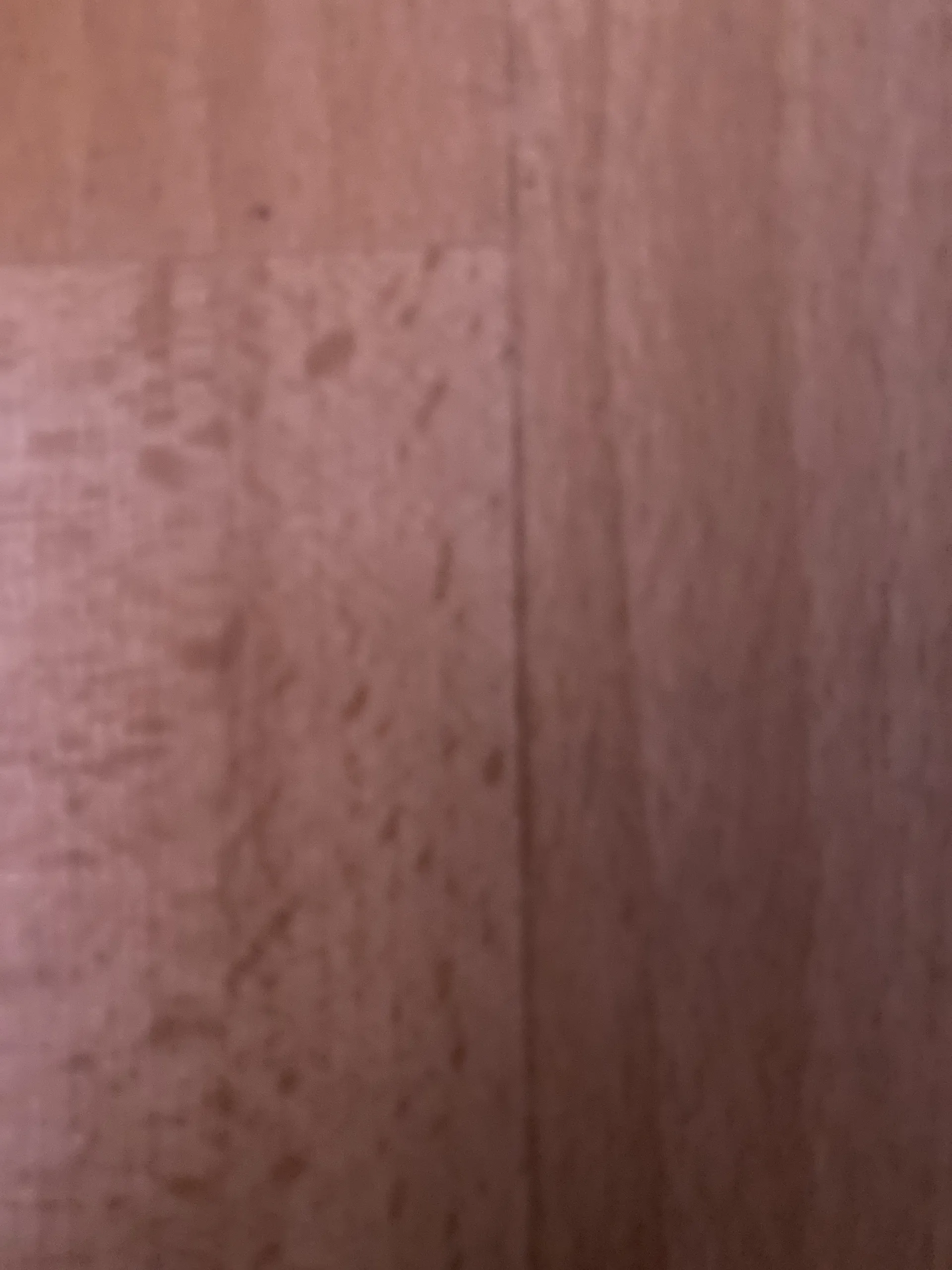 Bundalicious OnlyFans header