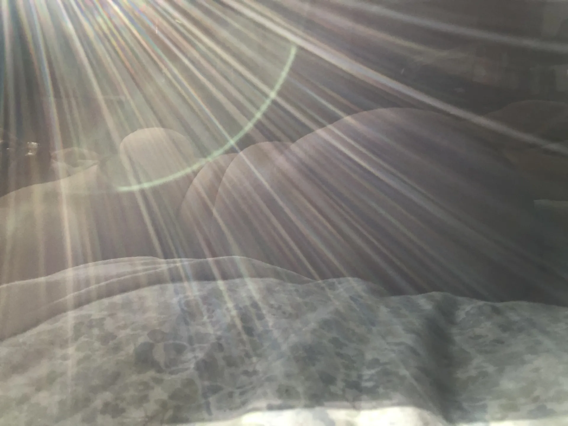 Sunshine the Switch OnlyFans header