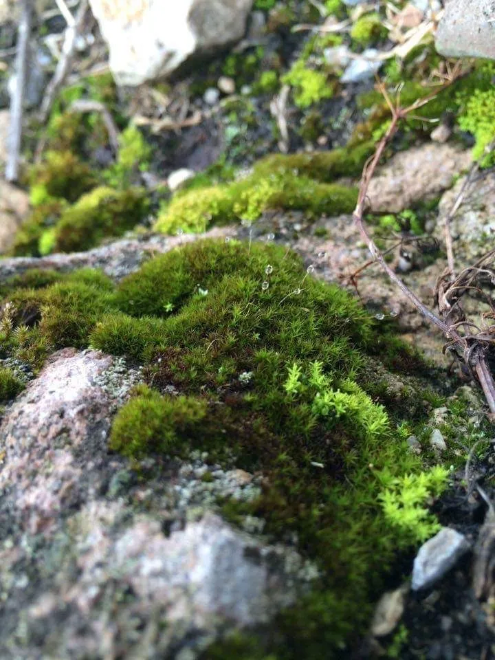 bundy 🔥 OnlyFans header