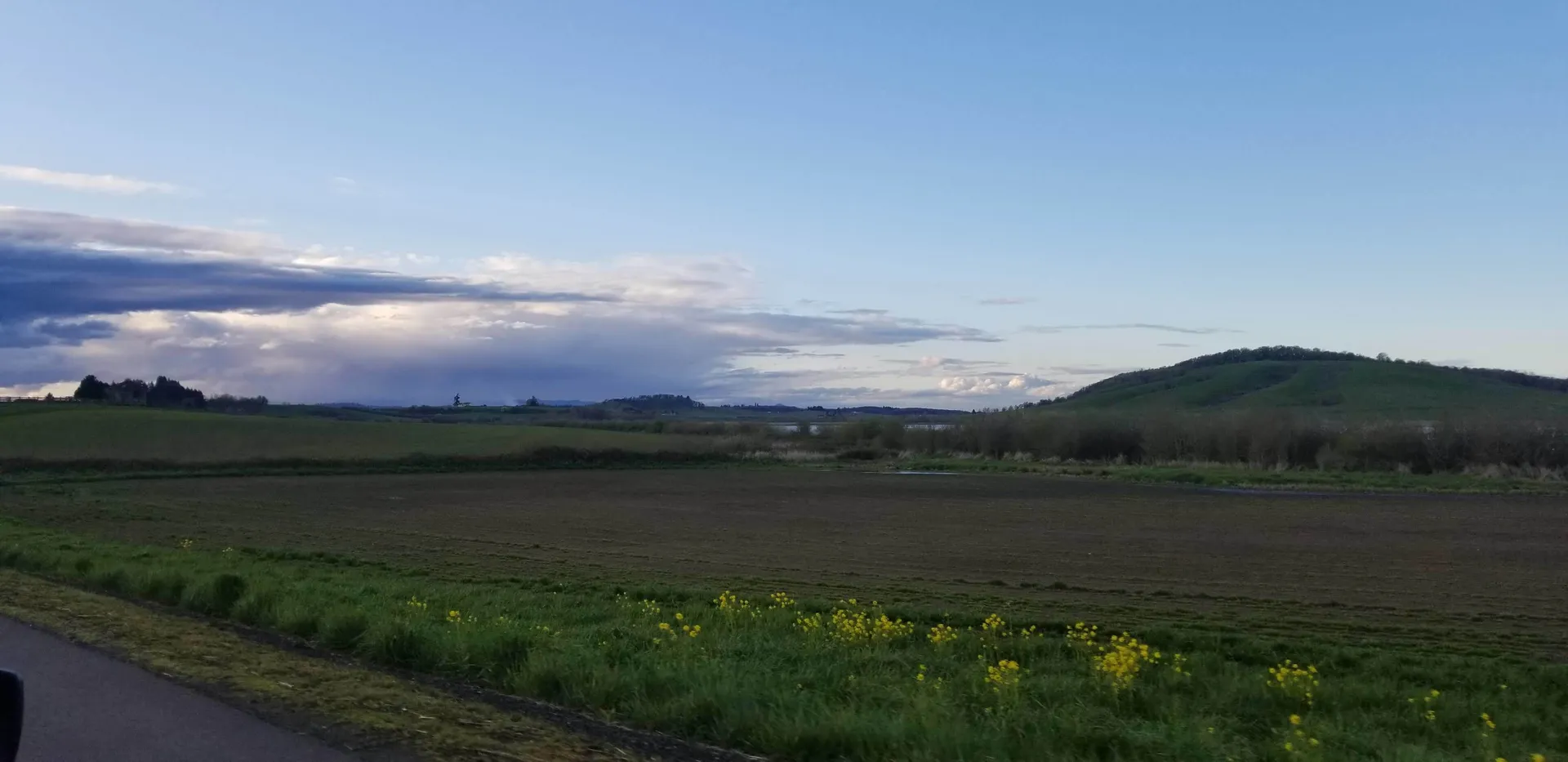 ♡ 𝔹𝕦𝕟ℍ𝕖𝕒𝕕 OnlyFans header