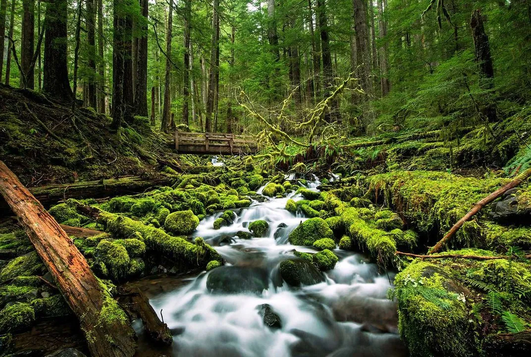 Bunk With The Gulag OnlyFans header