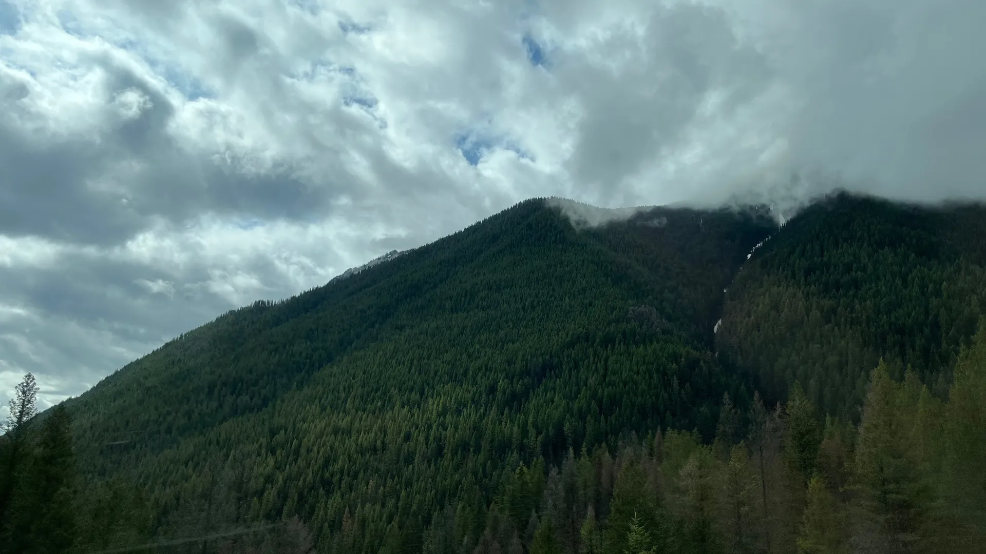 Bunni3 OnlyFans header