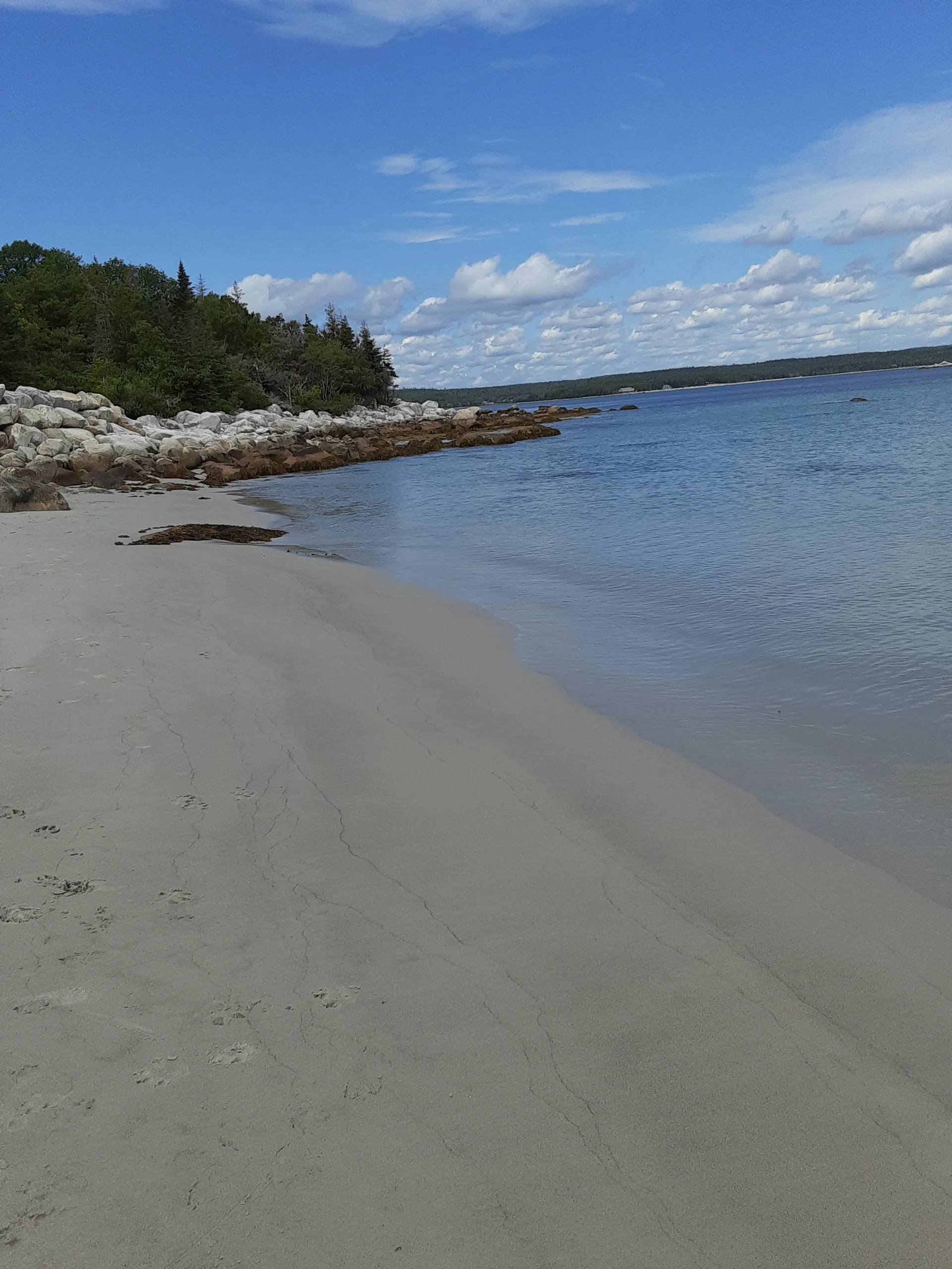 Emma OnlyFans header