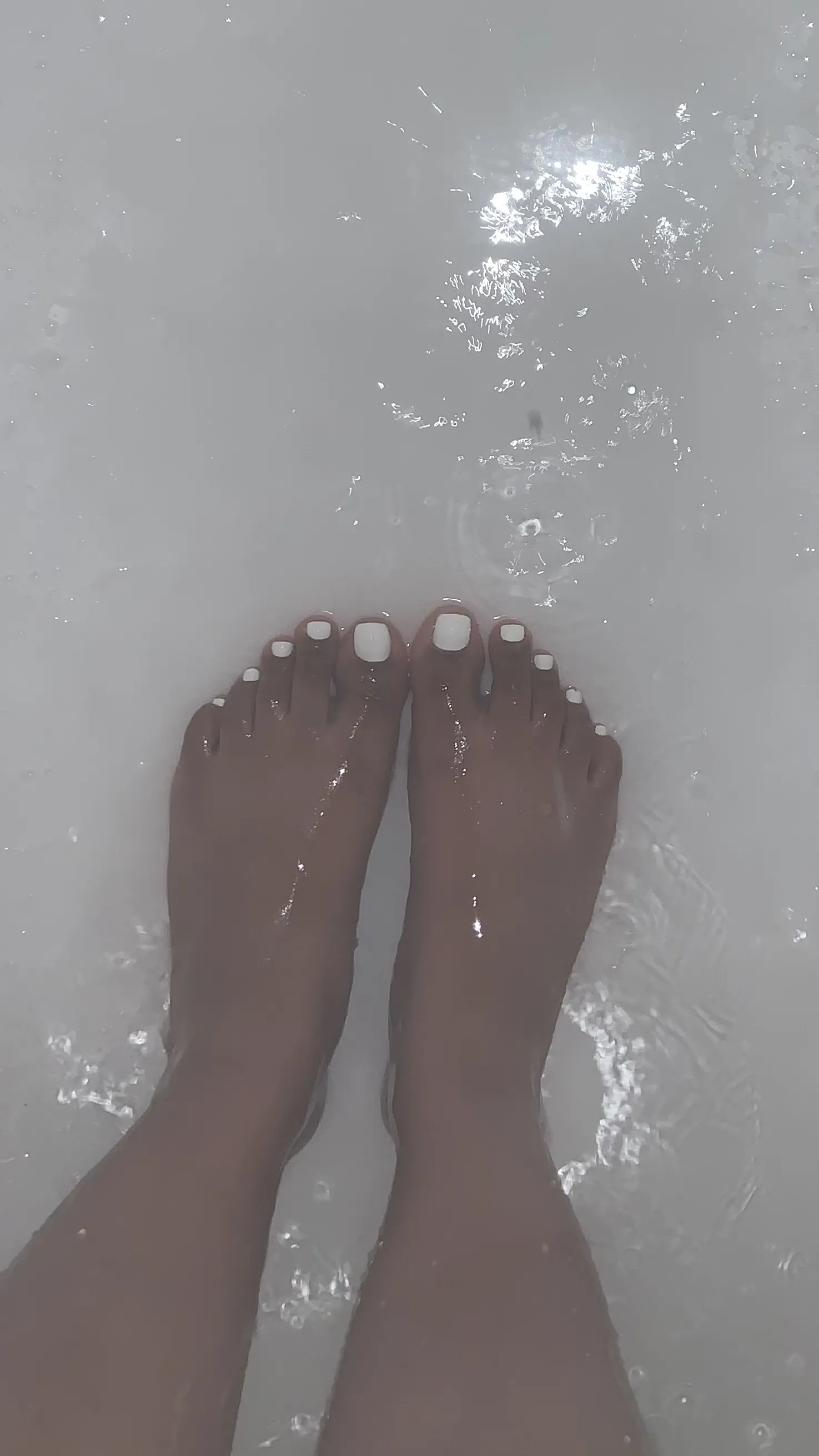 Lola Bunny OnlyFans header