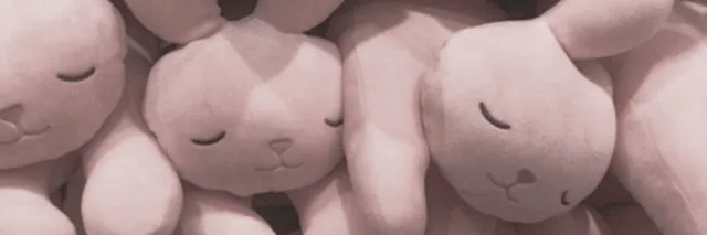 ally OnlyFans header