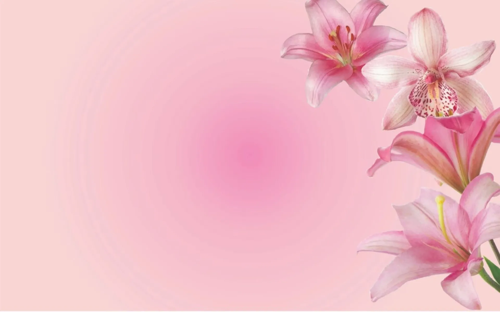 jade !! OnlyFans header