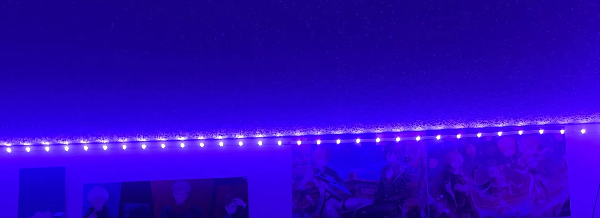 Bunni OnlyFans header