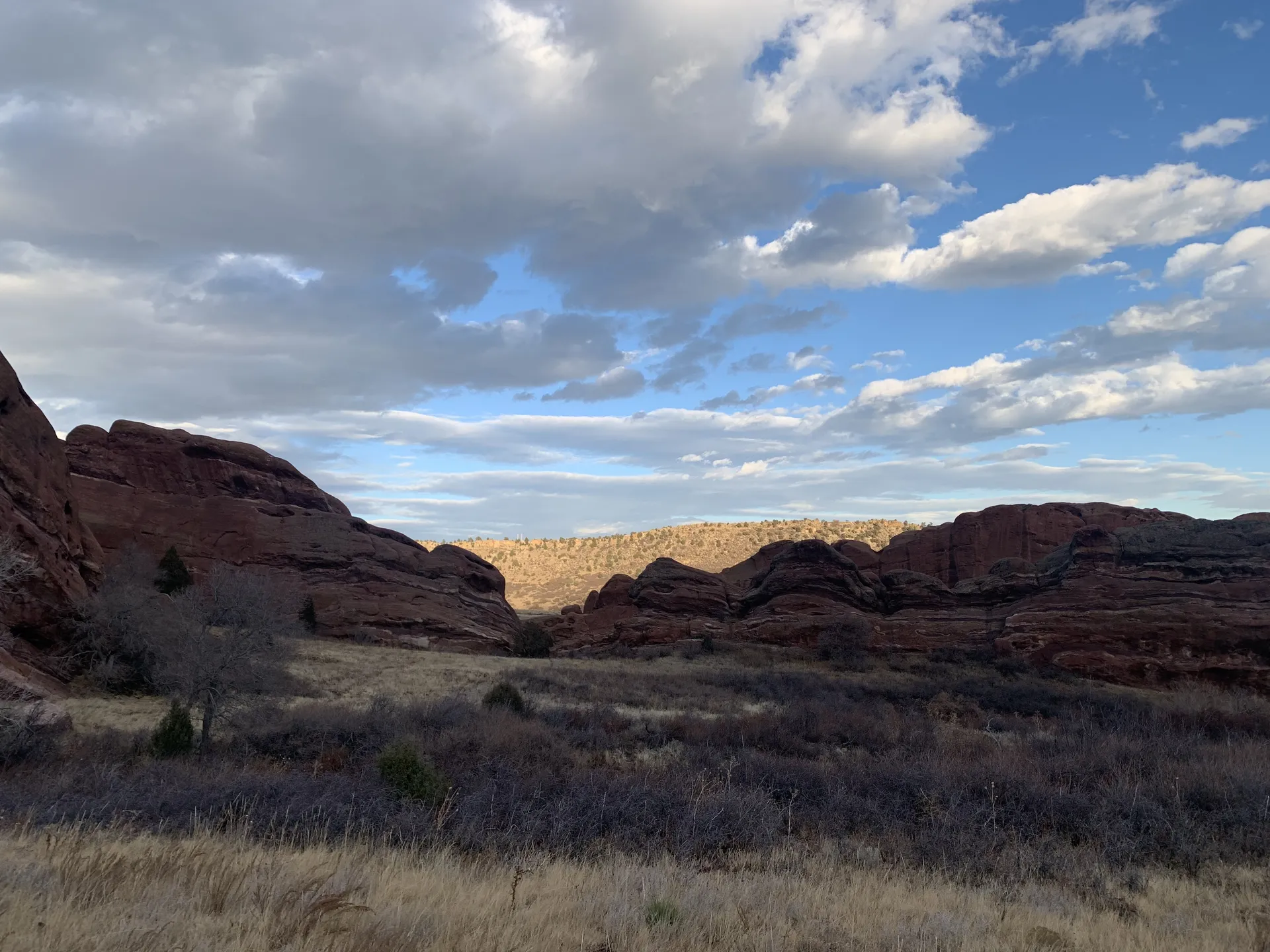 Bunniursa OnlyFans header