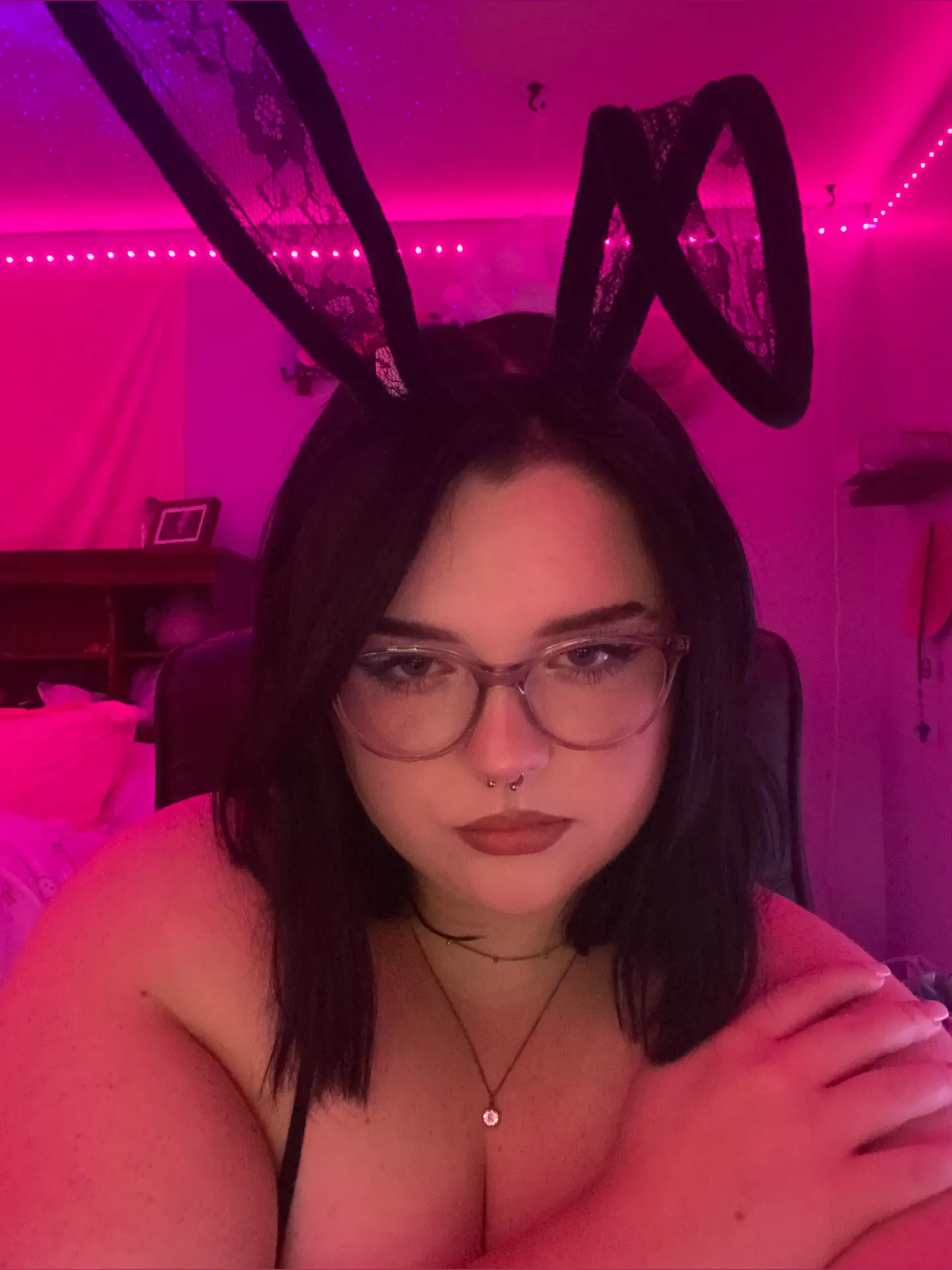 bunny