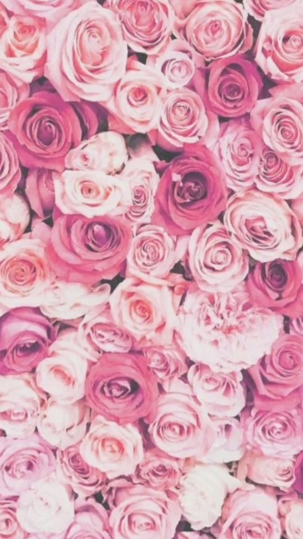 Bunnyyj OnlyFans header