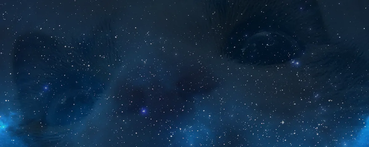 BunnyGirl OnlyFans header