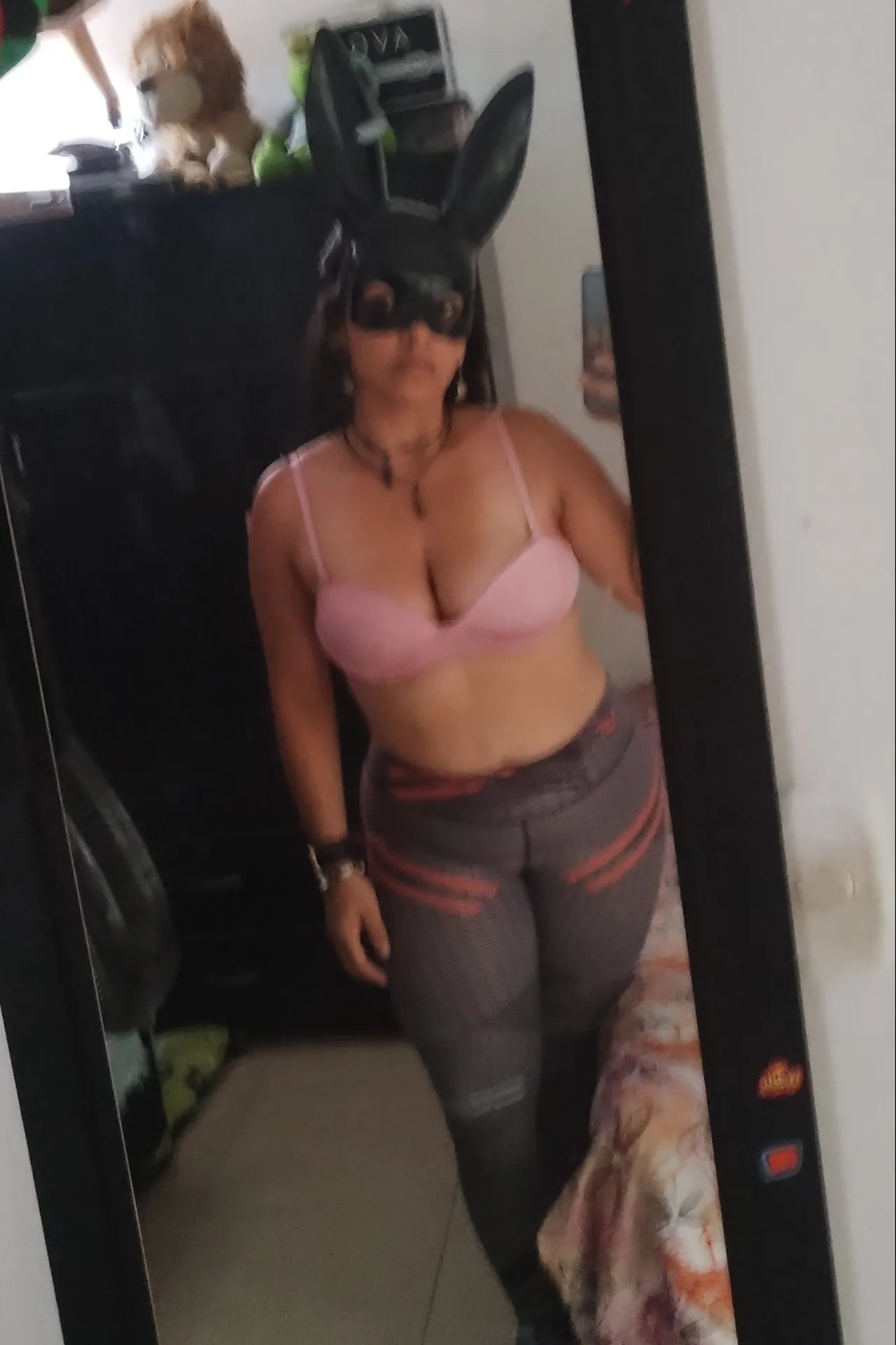 🔑🎁your latin bunny🐰