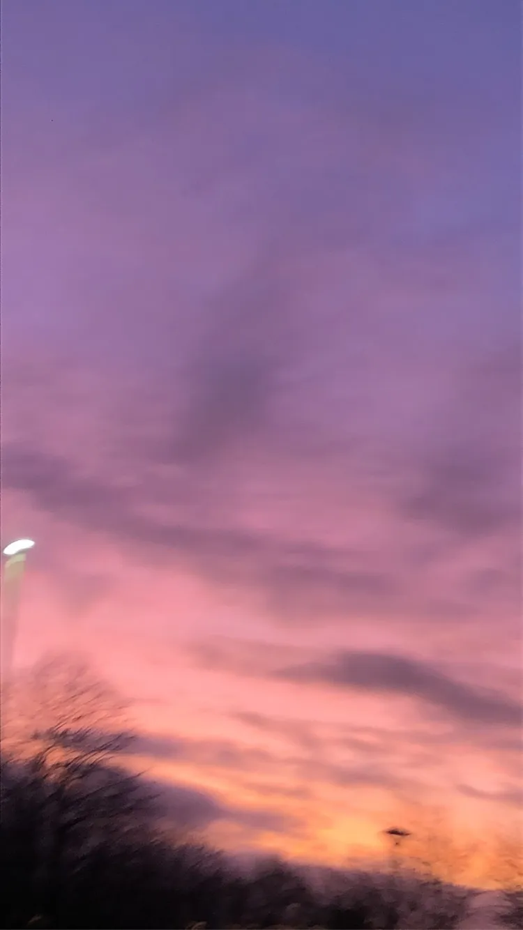 bunny <3 OnlyFans header