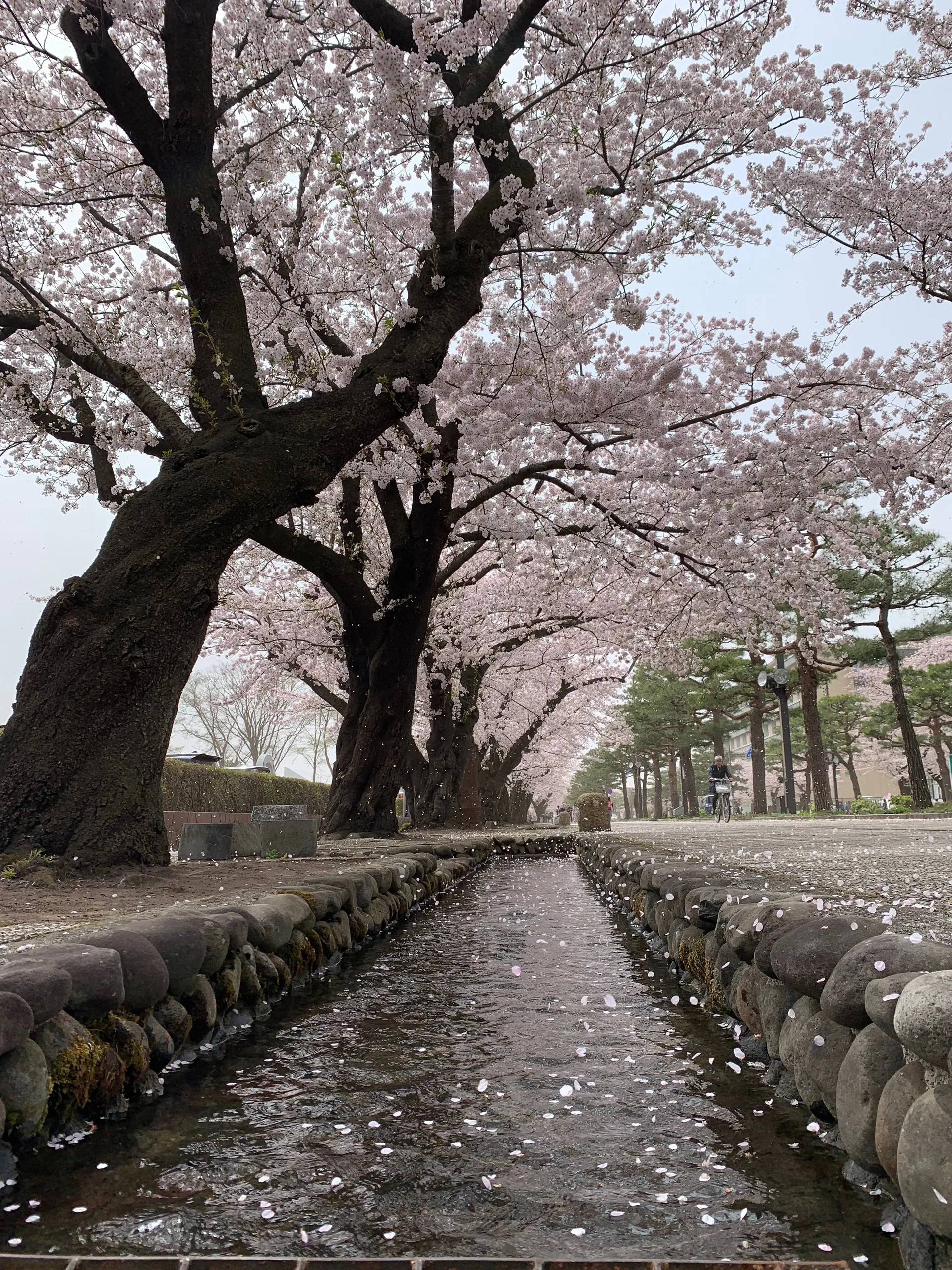 Lilith OnlyFans header