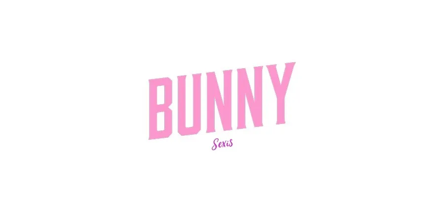 CHICAS BUNNY OnlyFans header