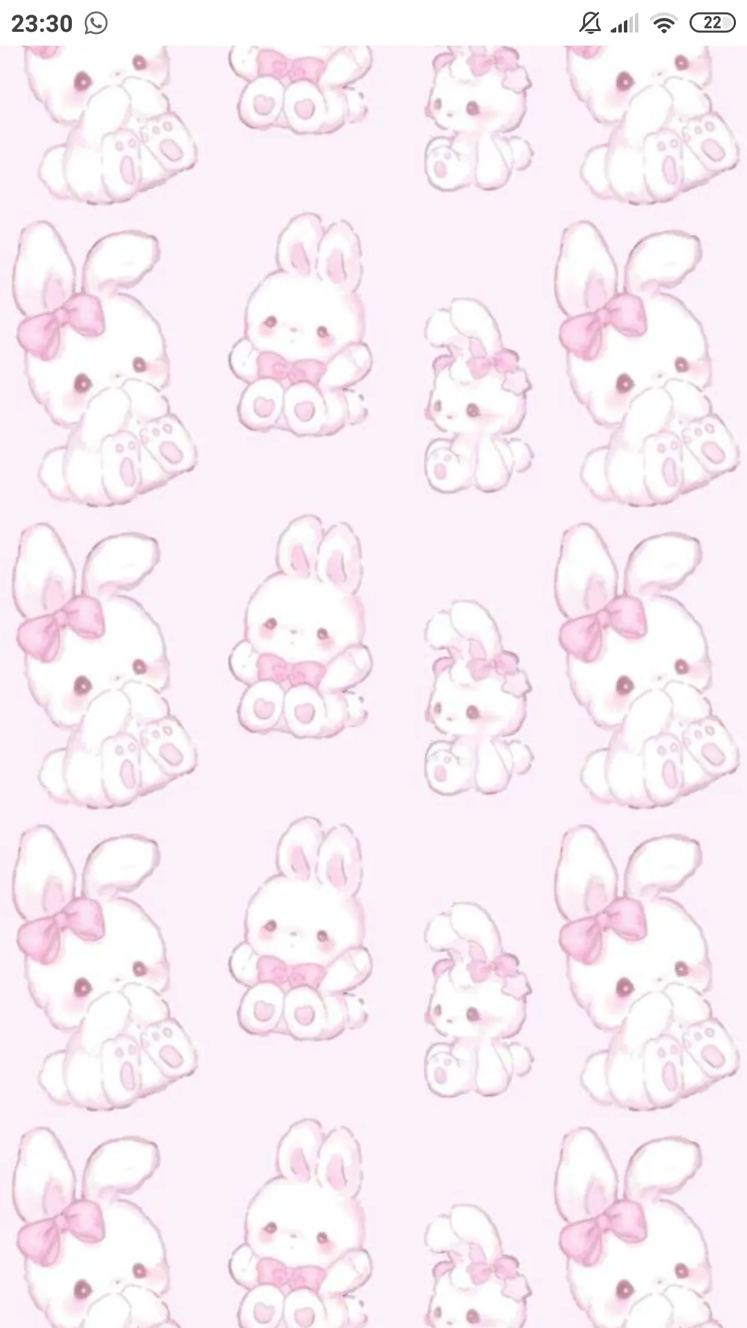 Bunny Feet OnlyFans header