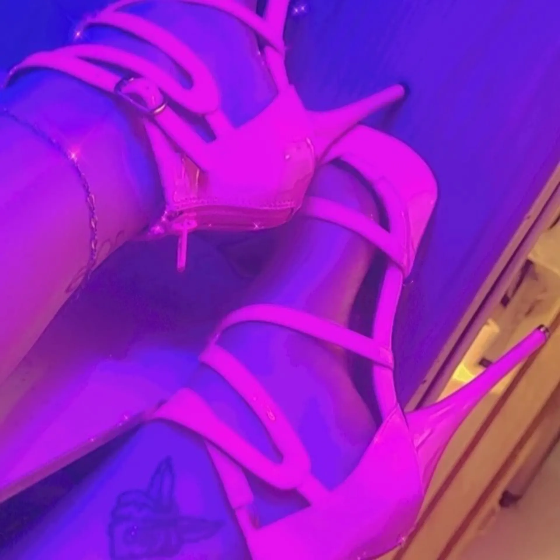 MsTxBunny OnlyFans header