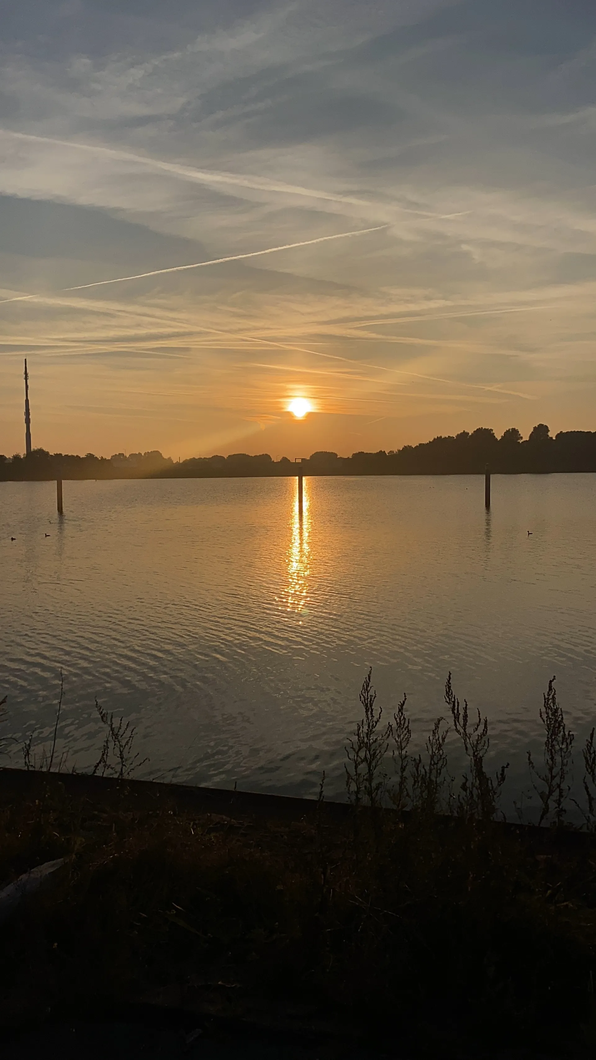 bunNy OnlyFans header