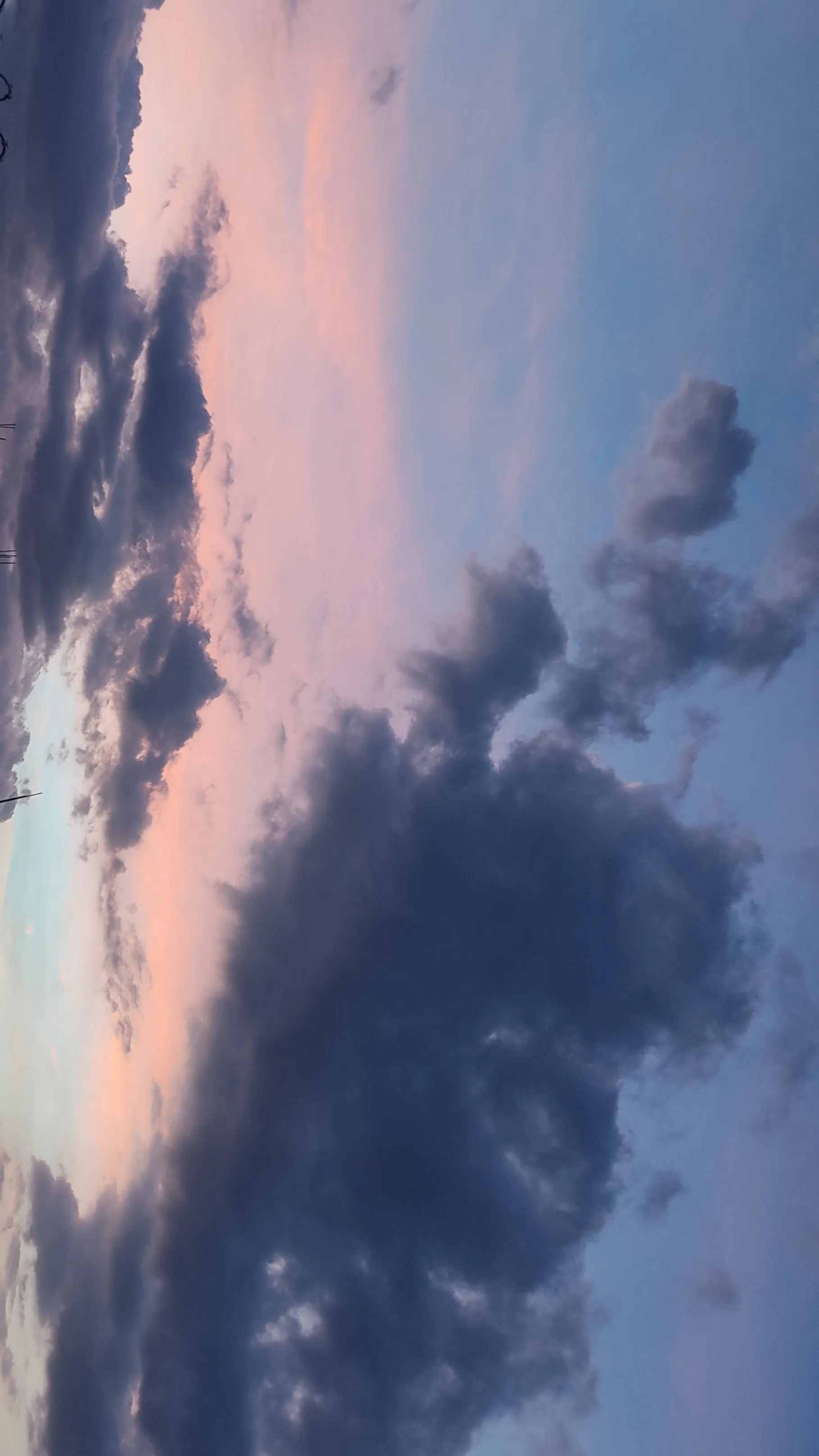 Bunny Secrets OnlyFans header