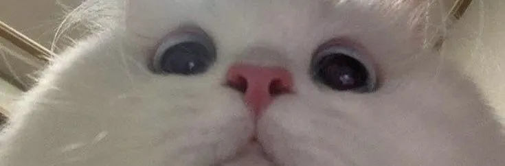 Bunny_vip OnlyFans header