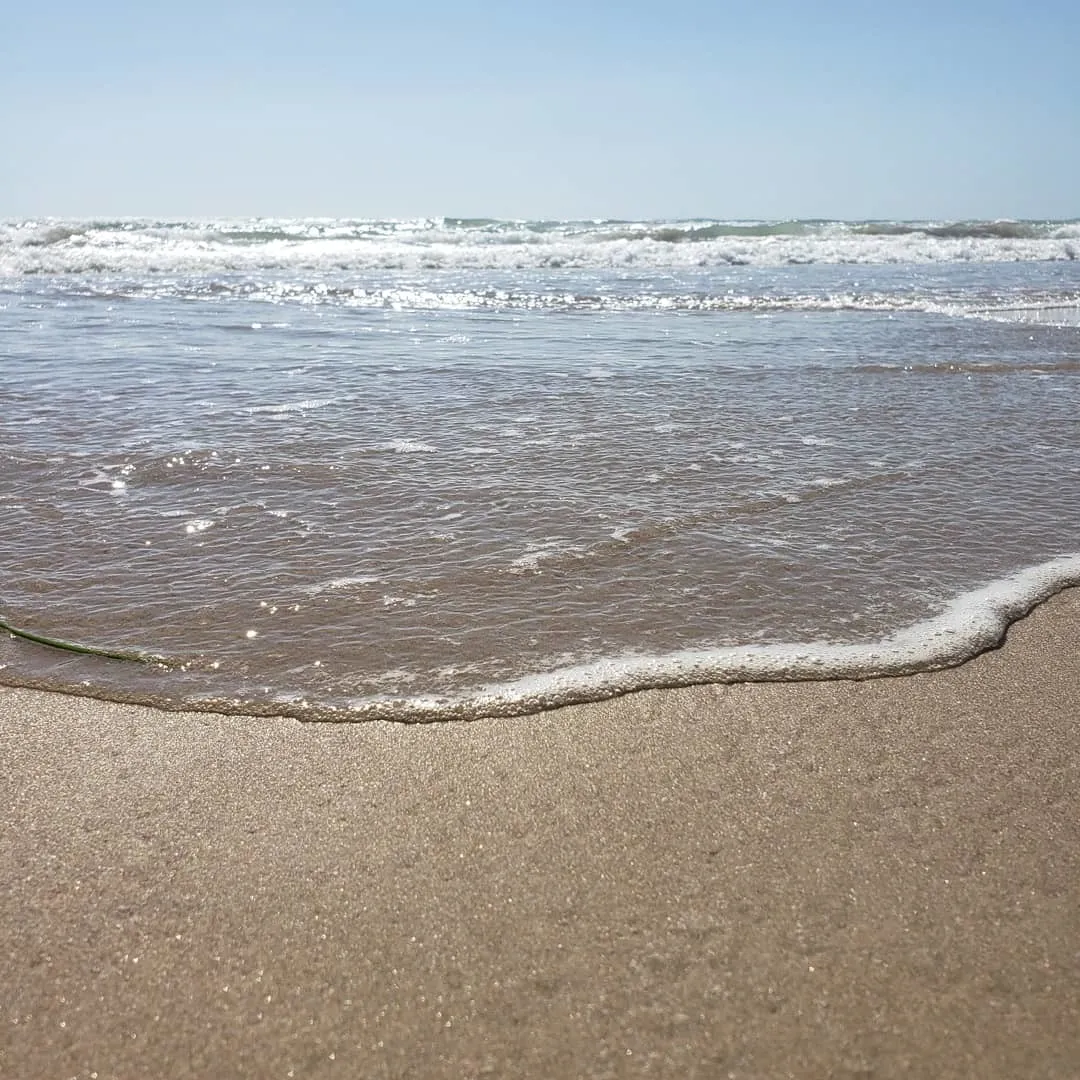 Alice OnlyFans header