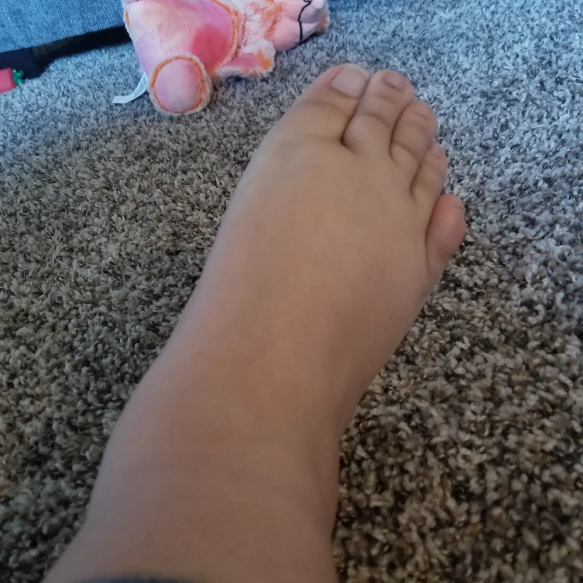 Bunny Amore OnlyFans header