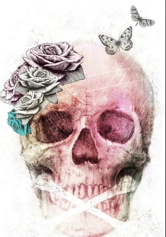 Bunny OnlyFans header