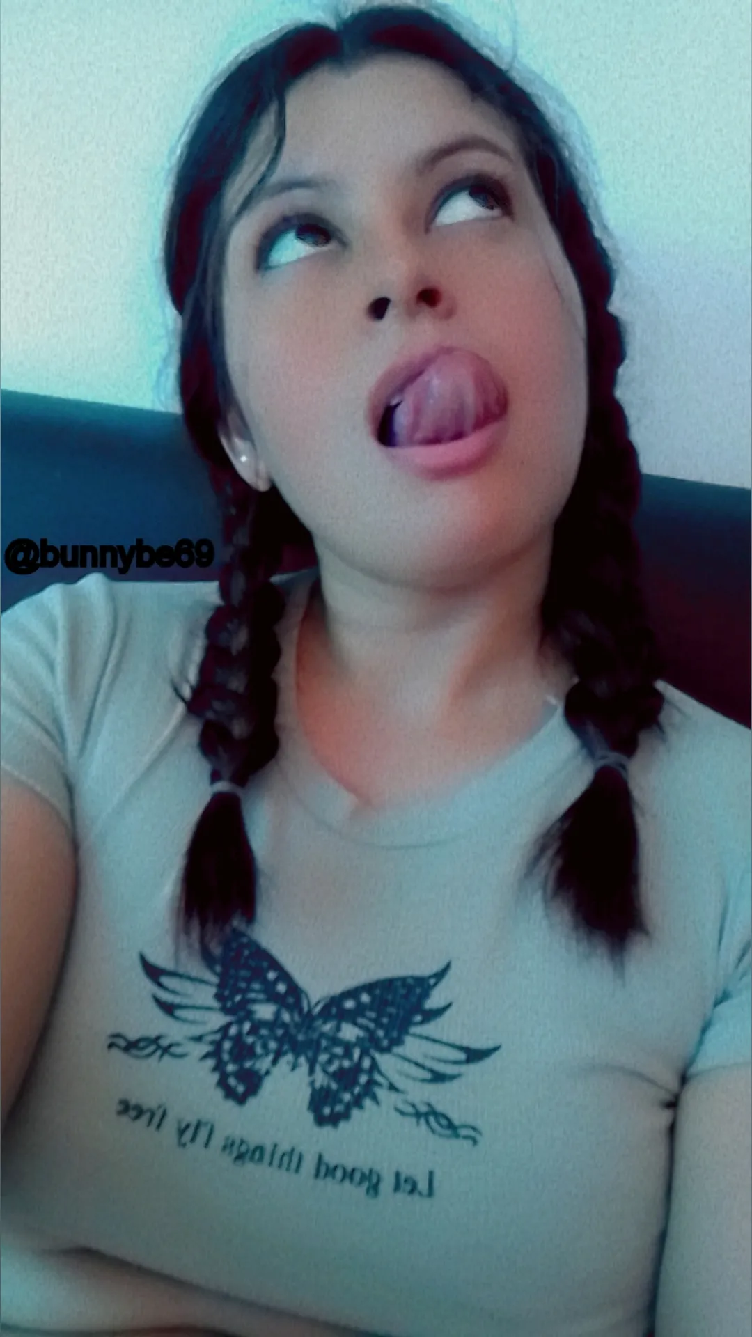 🐰🄱🅄🄽🄽🅈🐰