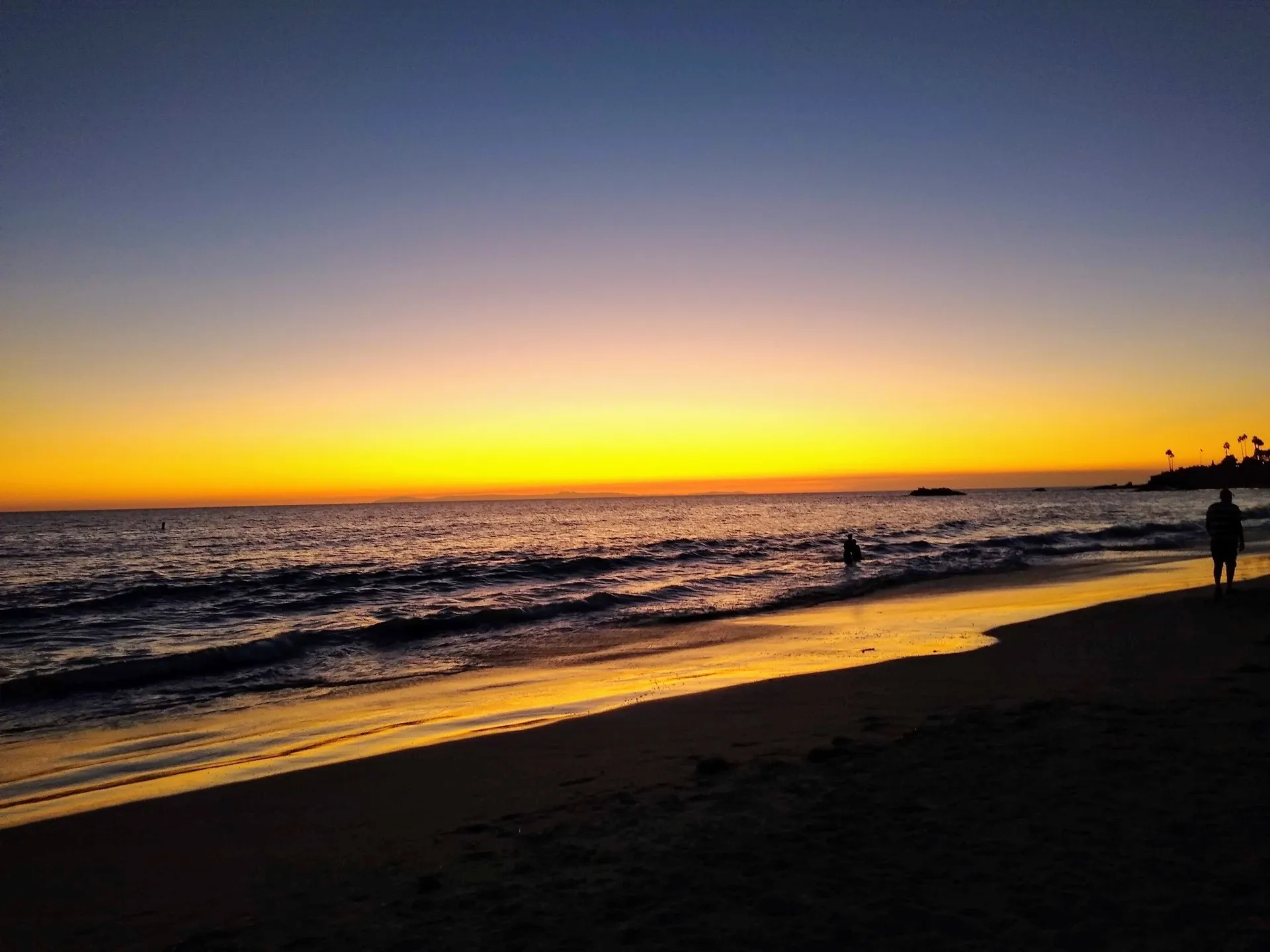 Bunny OnlyFans header