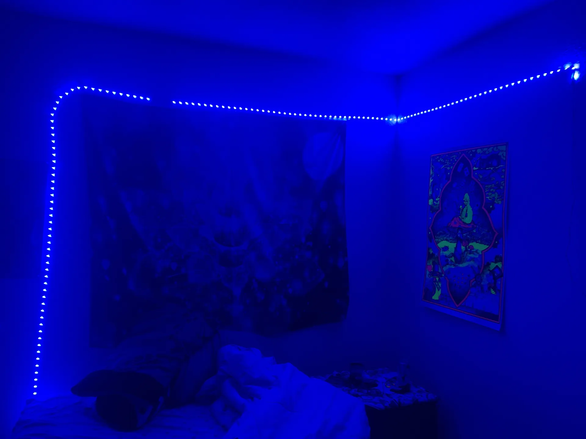 Bunnyboo OnlyFans header