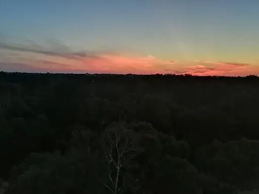 Bunny🐰 OnlyFans header