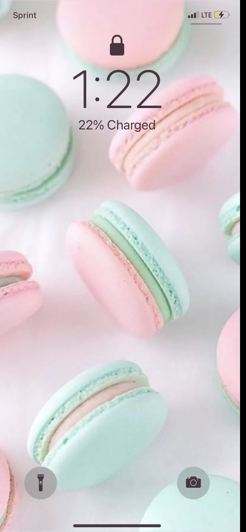 Bunny Cocoa OnlyFans header