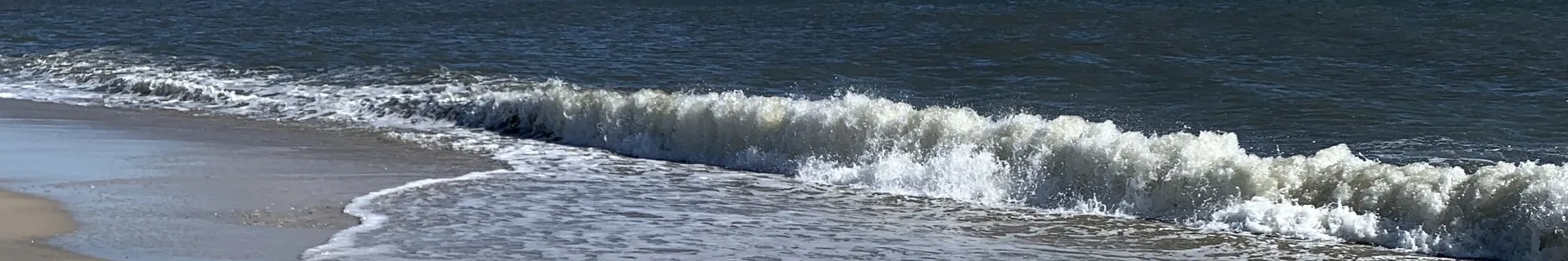 Bunny Cookie OnlyFans header