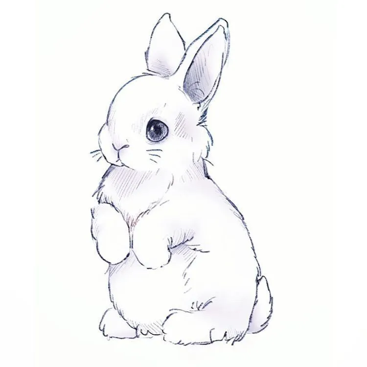 BunnyDuo OnlyFans header