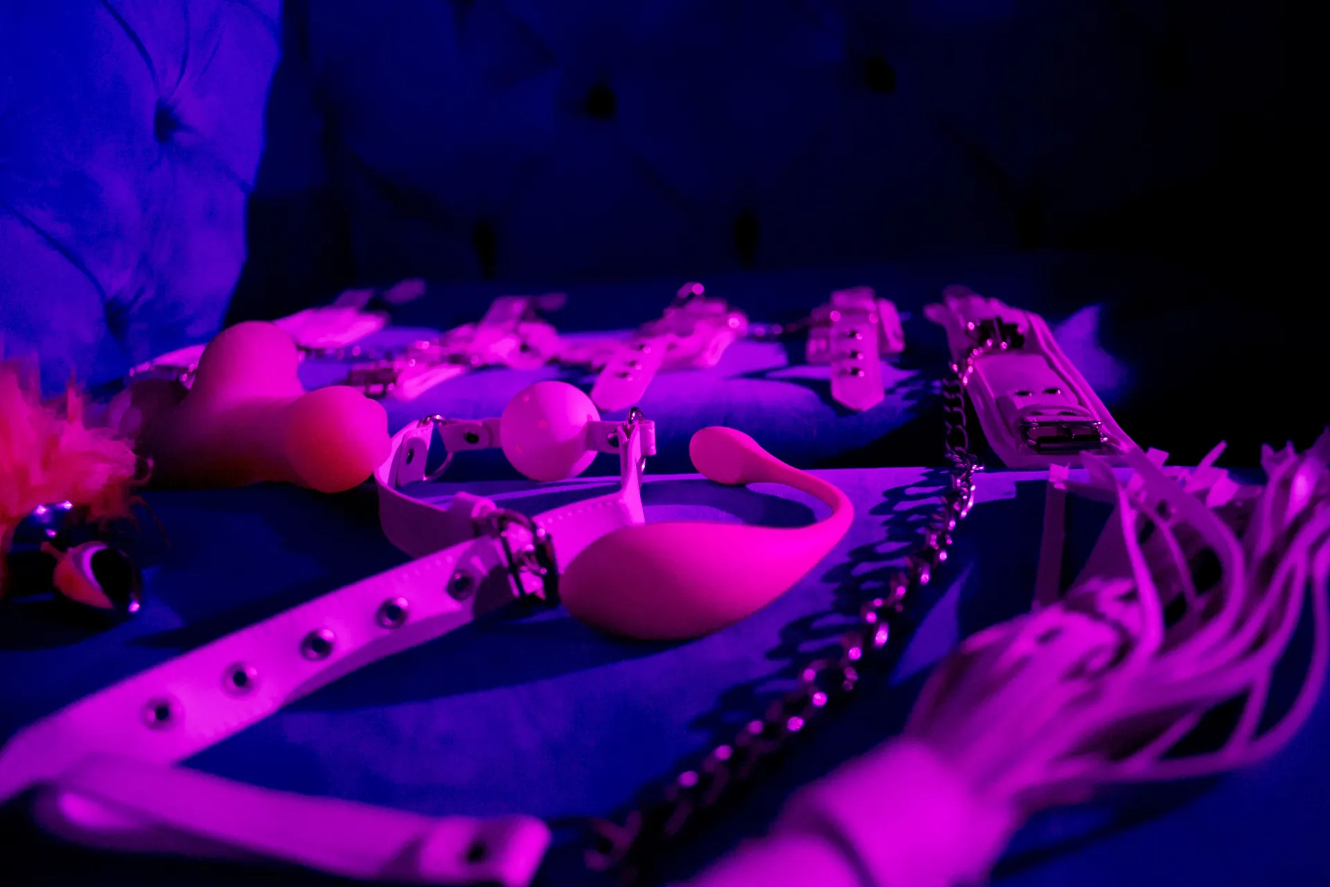 BunnyFromPluto OnlyFans header