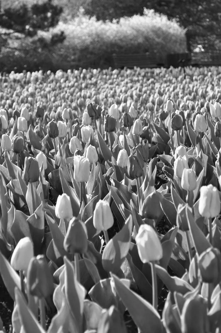 La Bunny 🐰 OnlyFans header