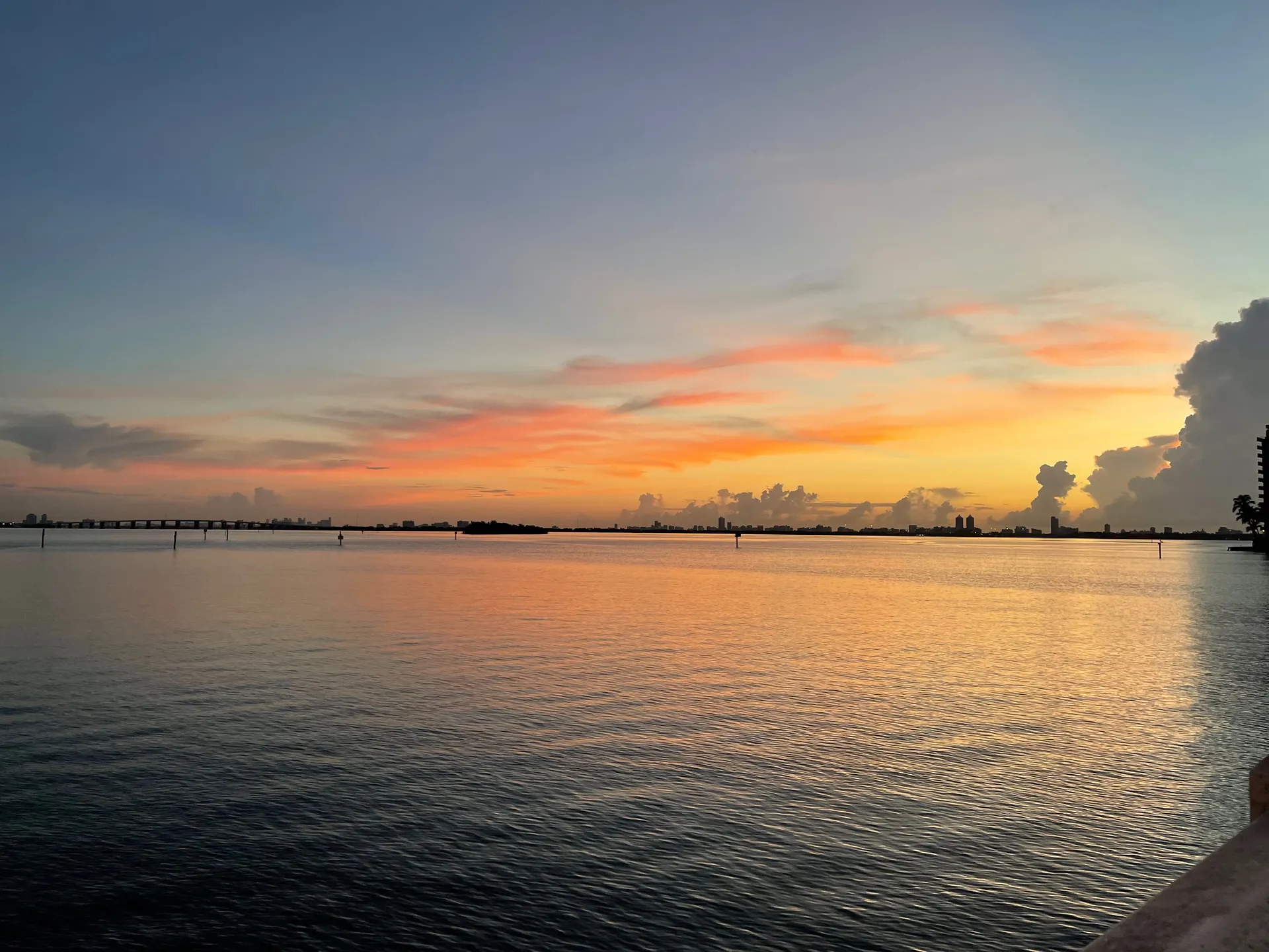 BunnyHoney 🐰🍯 OnlyFans header