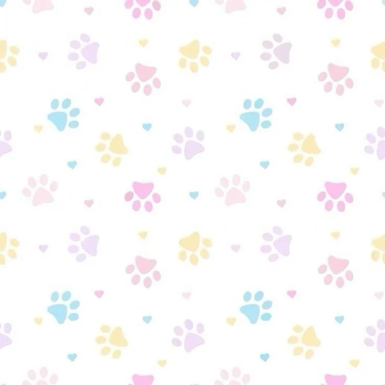 bun⋆˚🐾˖° OnlyFans header