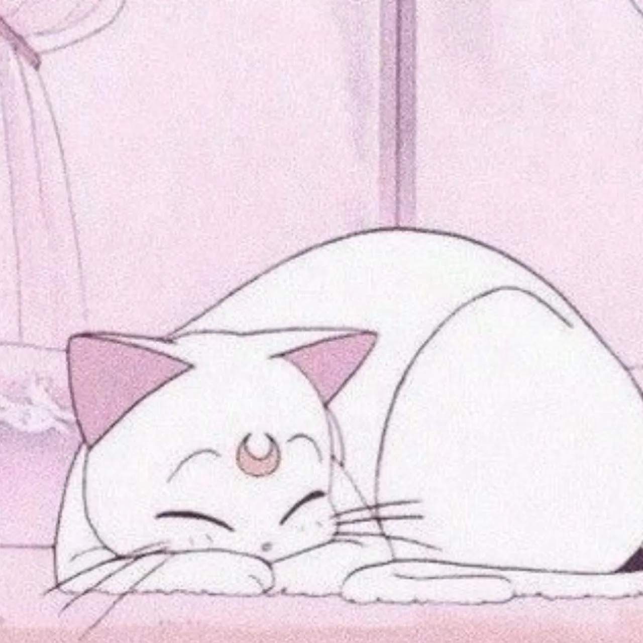 BunnyMar OnlyFans header