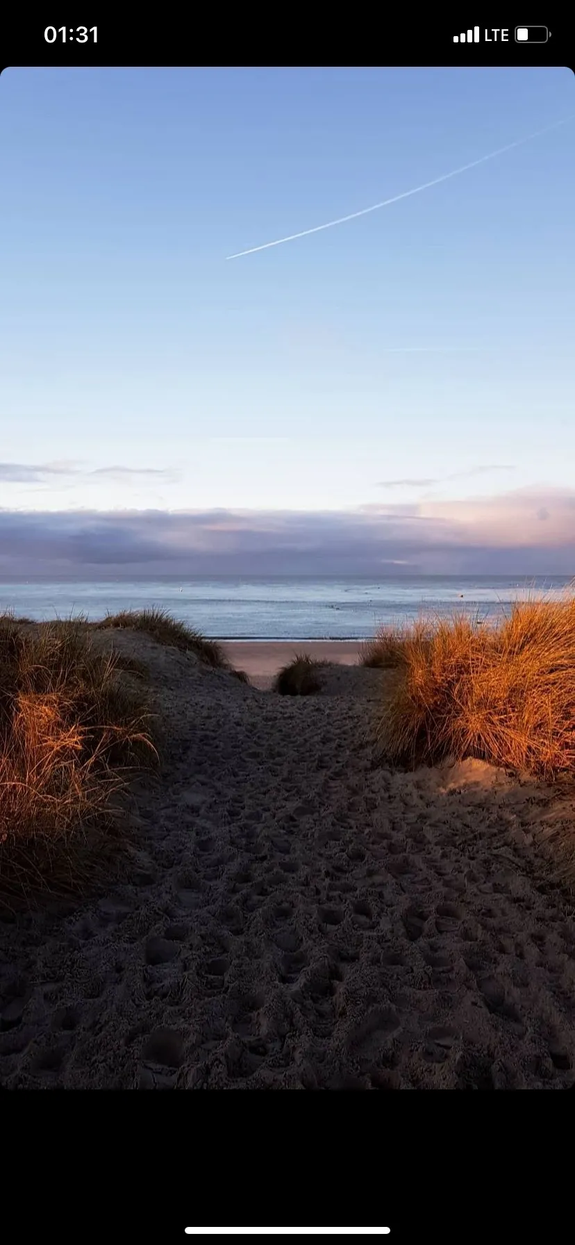 Bunny OnlyFans header