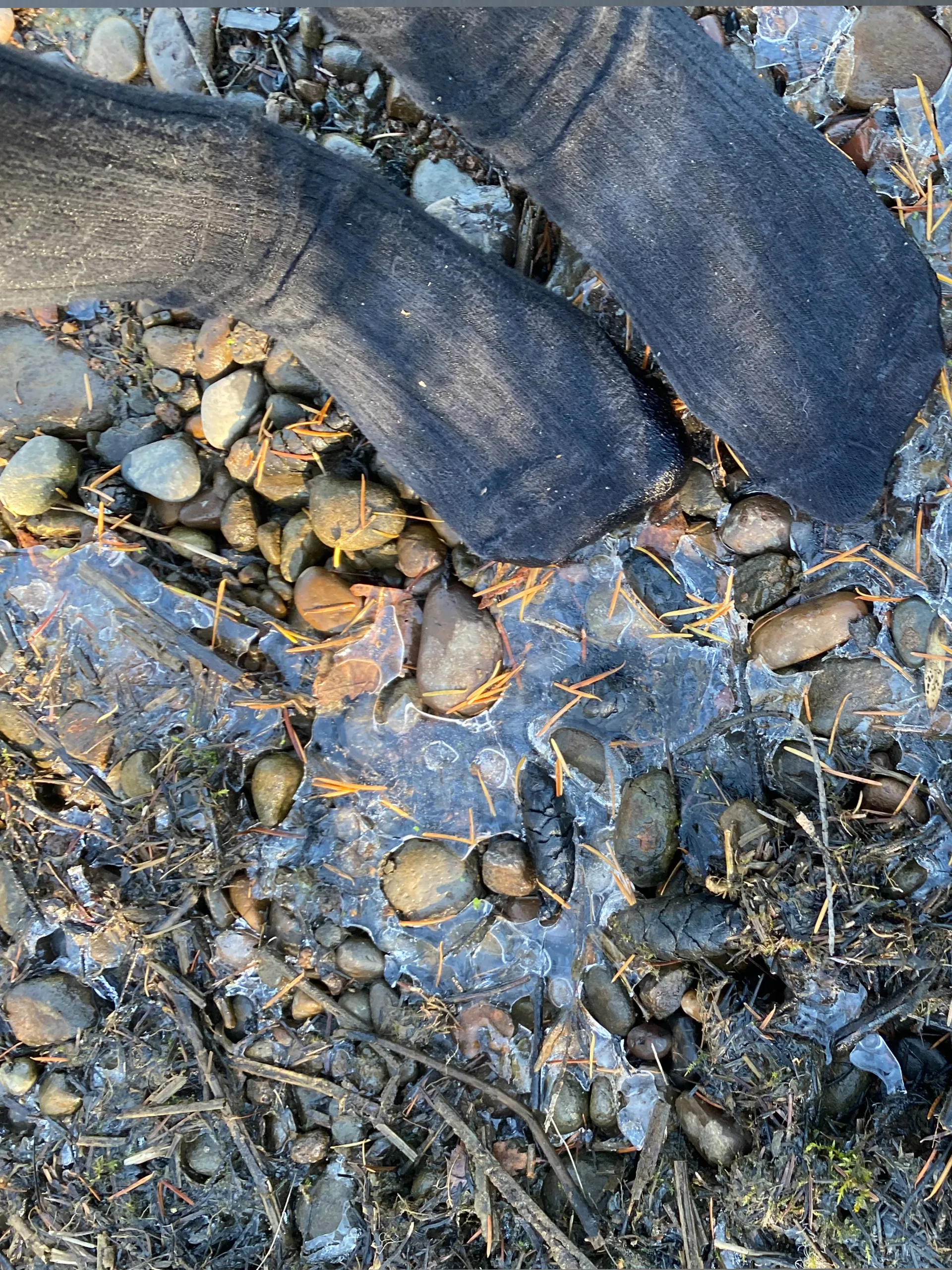 Bunbun OnlyFans header