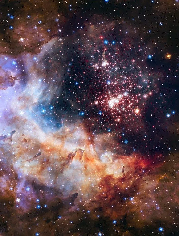 Bunnyporpang OnlyFans header