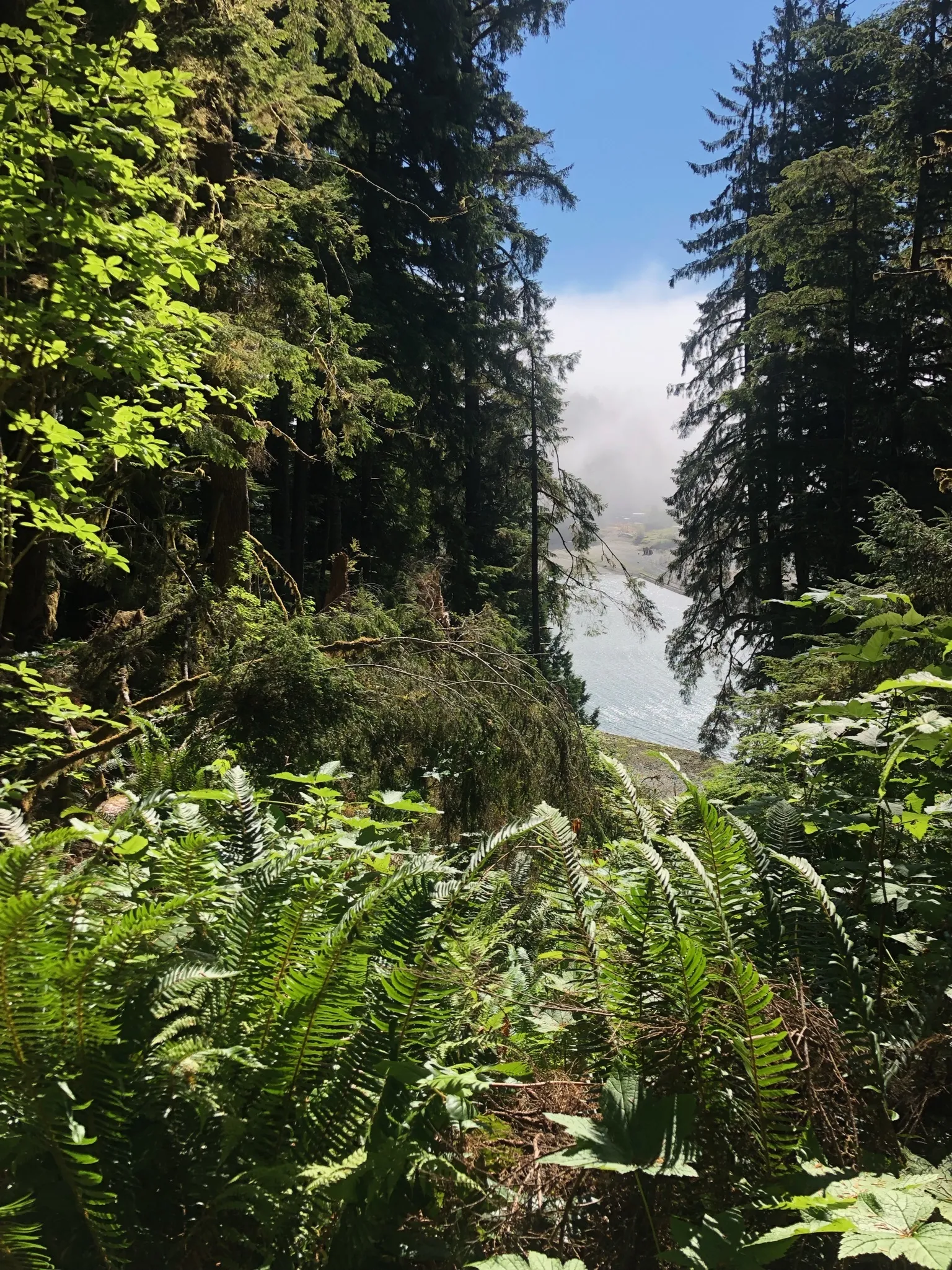 Bunny Raze OnlyFans header