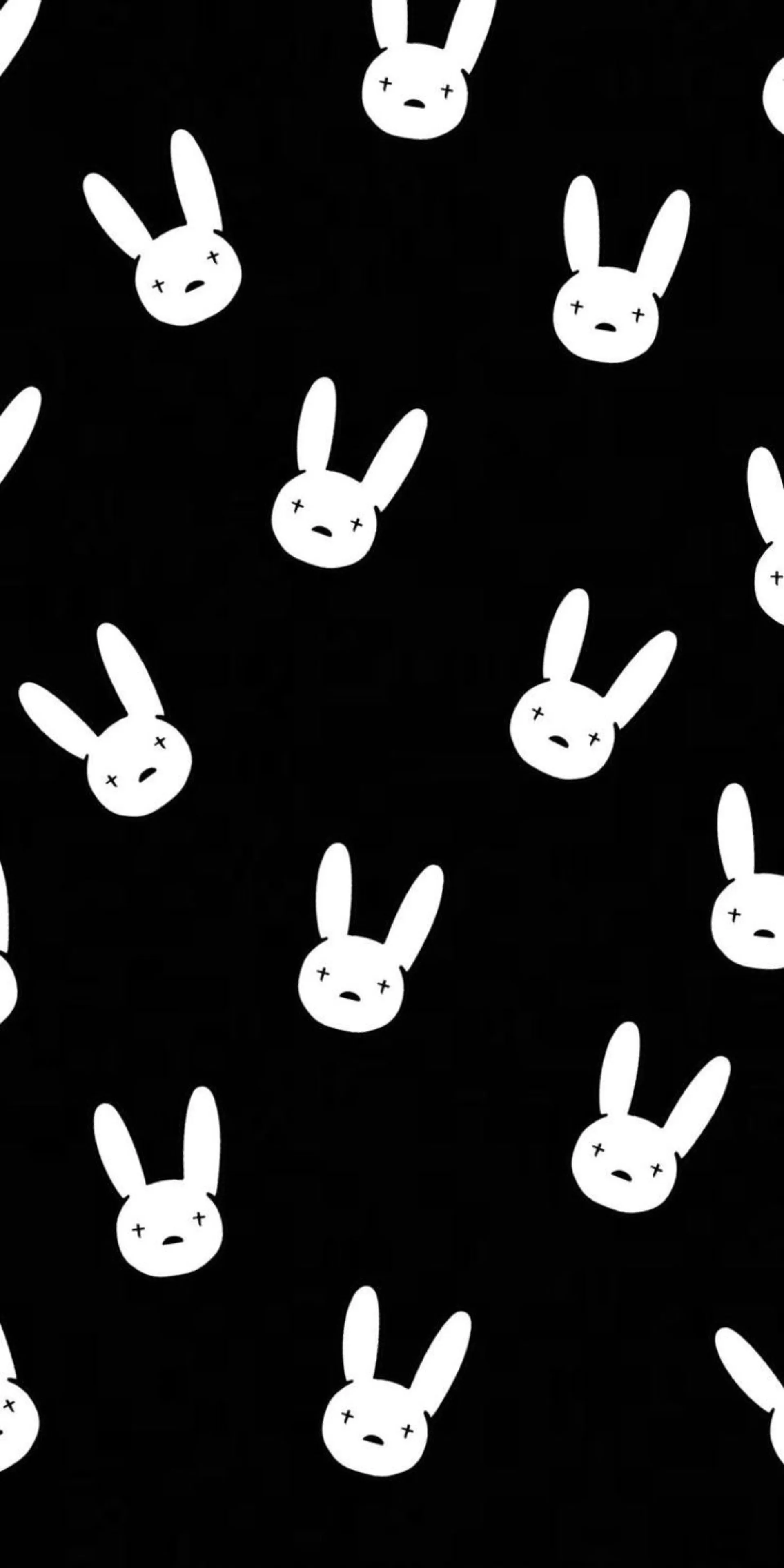 Bunny OnlyFans header