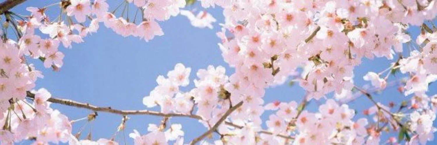 bunny ^_^ OnlyFans header