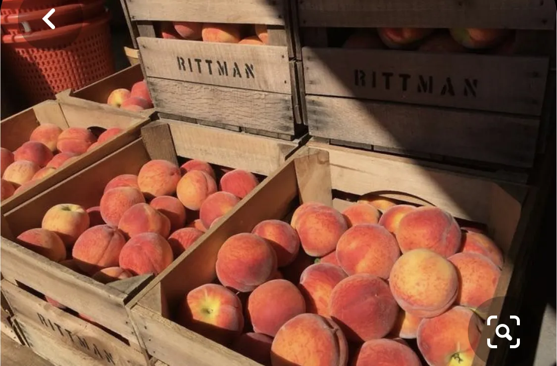 bunny🐰 OnlyFans header