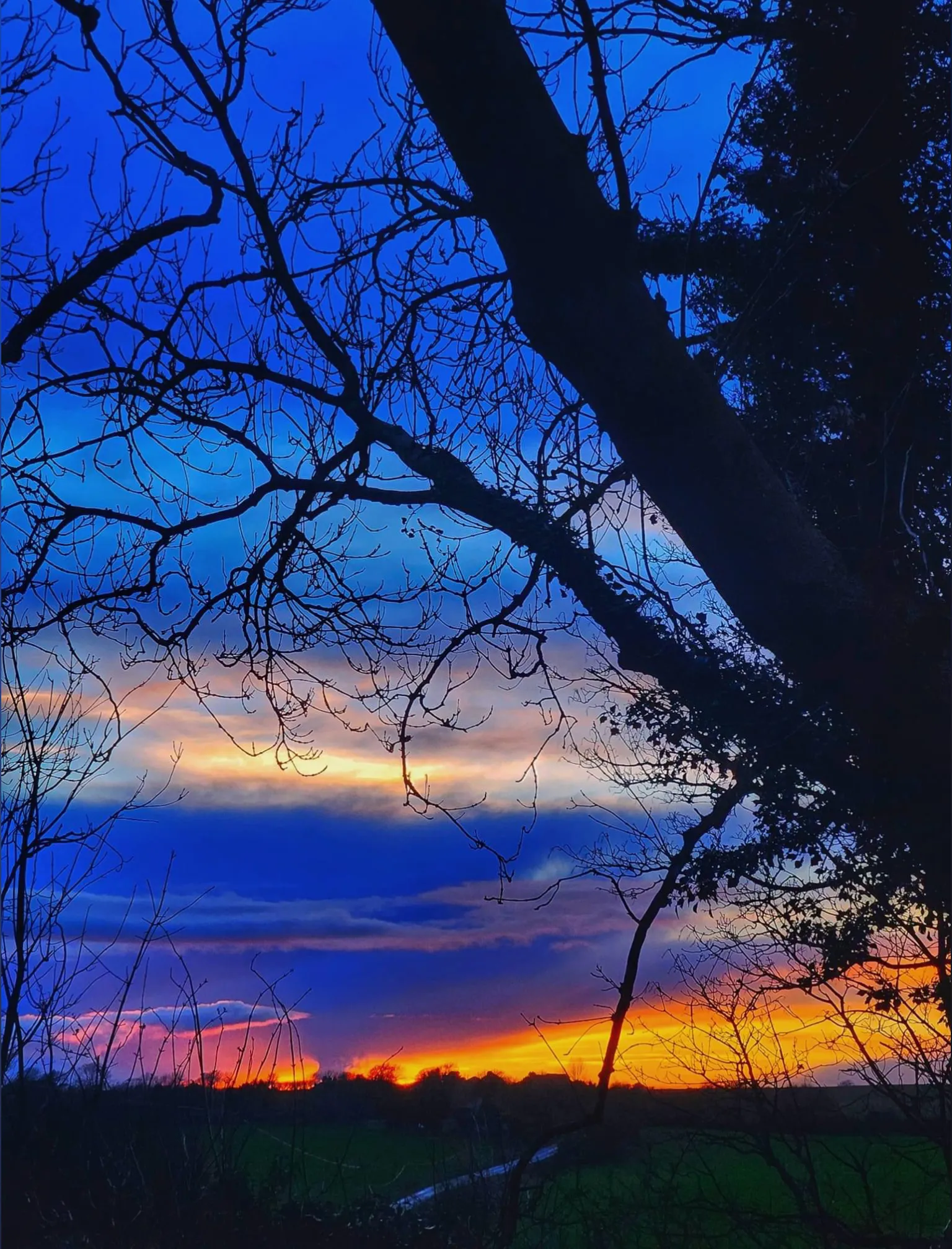 Bunnysue OnlyFans header